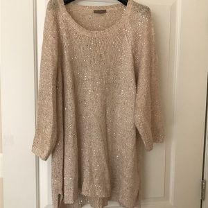 Gorgeous H&M Sweater with Shiny Flecks